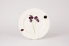 Sweet Pea Dinner Plate